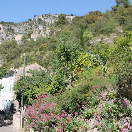 Au Bonheur De Lili Apartamento Fontaine-de-Vaucluse Exterior foto